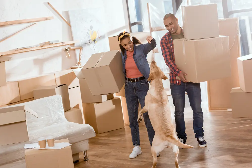 In-State-Moving--in-Hollywood-Florida-in-state-moving-hollywood-florida.jpg-image